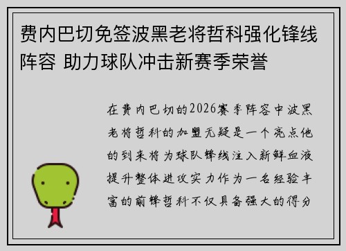 费内巴切免签波黑老将哲科强化锋线阵容 助力球队冲击新赛季荣誉